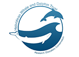 hebridean whale dolphin trust